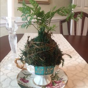 Meet your Posher, Anne